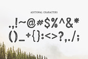 Arber Vintage font, a Script Font by Wild Ones (Thumbnail 8 of 12)