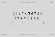 Tarahon - Business Font, a Serif Font by RockboyStd (Thumbnail 9 of 12)