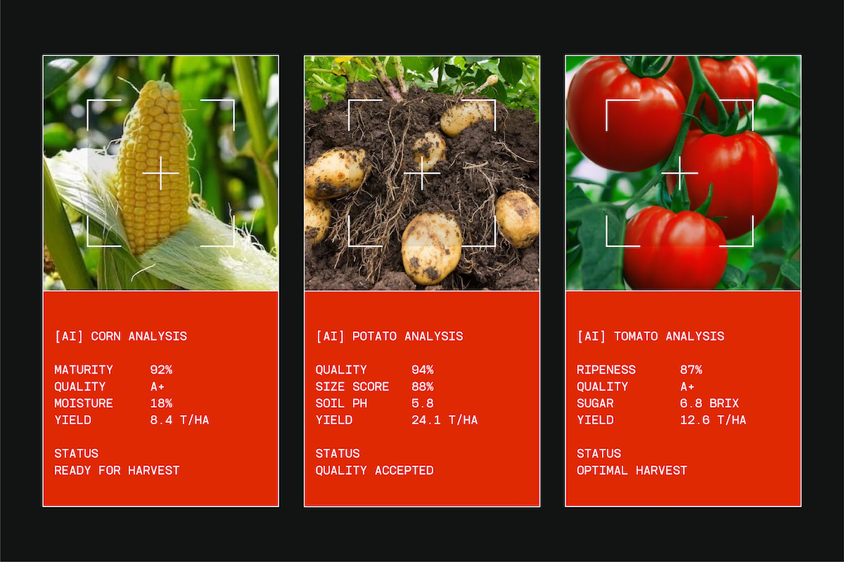 TBJ Monodrip Inktrap Monospace, a Sans Serif Font by Taboja Studio (Photo 12 of 15)
