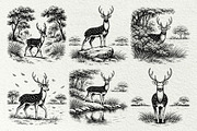 Axis Deer Wildlife Graphics, an Animal Illustration by DENIDigitalArtSudio (Thumbnail 5 of 8)