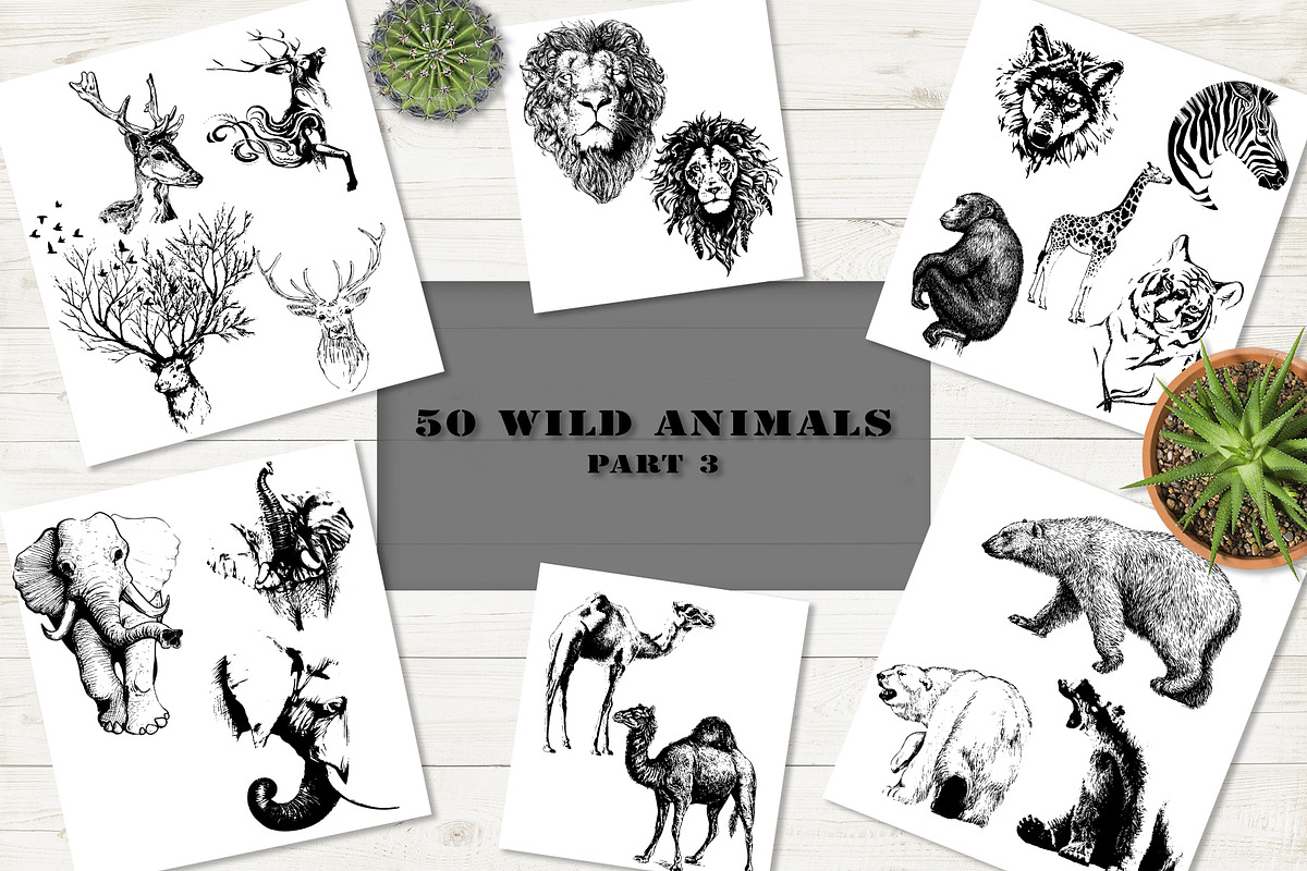 50 wild animals vector part 3, an Animal Illustration by AnastasiyaOleynik (Photo 1 of 9)