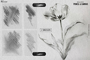 Real Pencil & Canvas for Procreate, a Brush Add-On by Liquid Amethyst Art (Thumbnail 5 of 6)