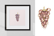 Watercolor Grapes Collection, a Decorative Illustration by MayaNavits (Thumbnail 8 of 9)