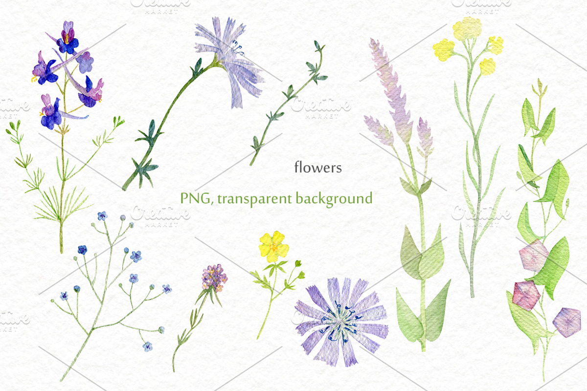 Wild flowers watercolor set, a Background Graphic by Elegantia (Photo 3 of 15)