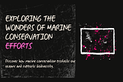Linera - Natural Handwritten, a Handwritten Font by portype (Thumbnail 2 of 8)