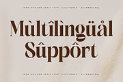 Copeland New Modern Serif Font, a Serif Font by Storytype Studio (Thumbnail 12 of 15)