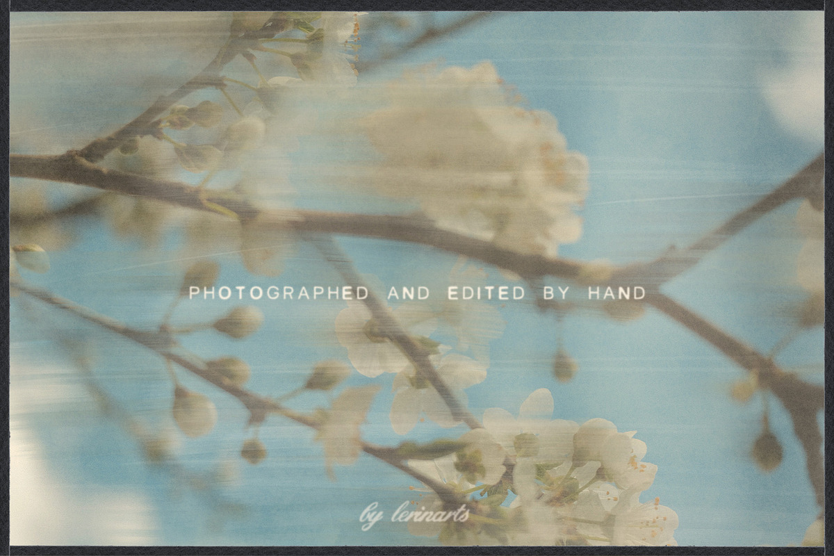 Plum Blossom Floral Backgrounds, a Background Graphic by lerinartstudio (Photo 5 of 11)