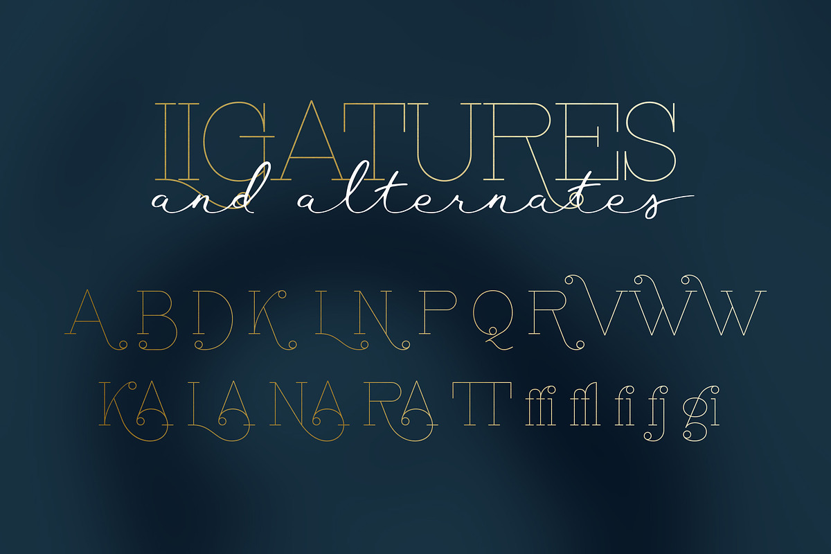 Waymar Hairline, a Serif Font by NREY (Photo 4 of 8)