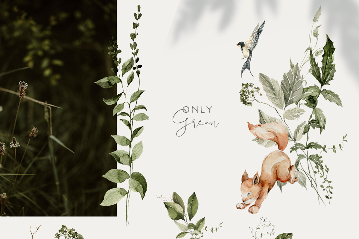 Little woodland Cute baby animals, an Animal Illustration by 60secondsArt (Photo 5 of 13)
