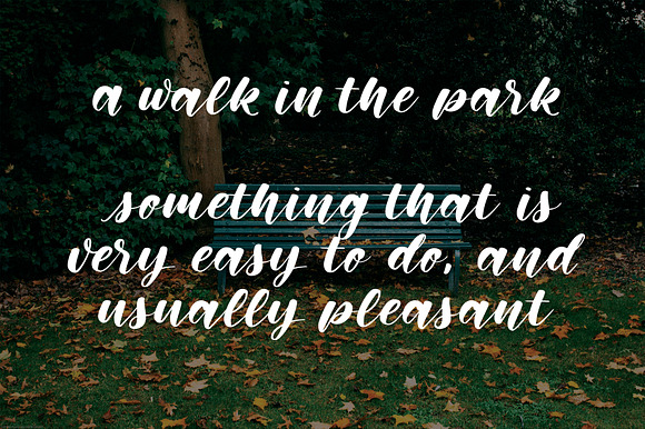 Memphis Park Script Font preview 6