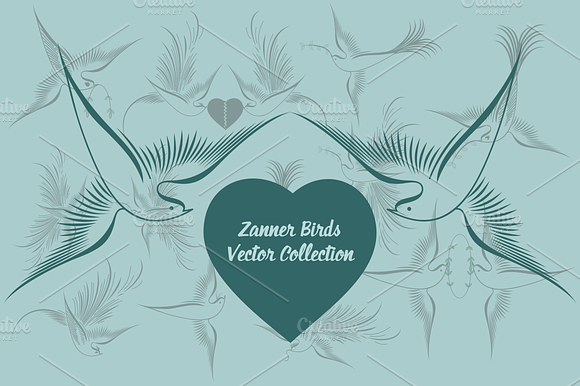 Zanner Birds Vector Collection preview 6