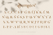 Vicky Christina Ligature Serif Font, a Serif Font by SilverStag Type Foundry (Thumbnail 22 of 25)
