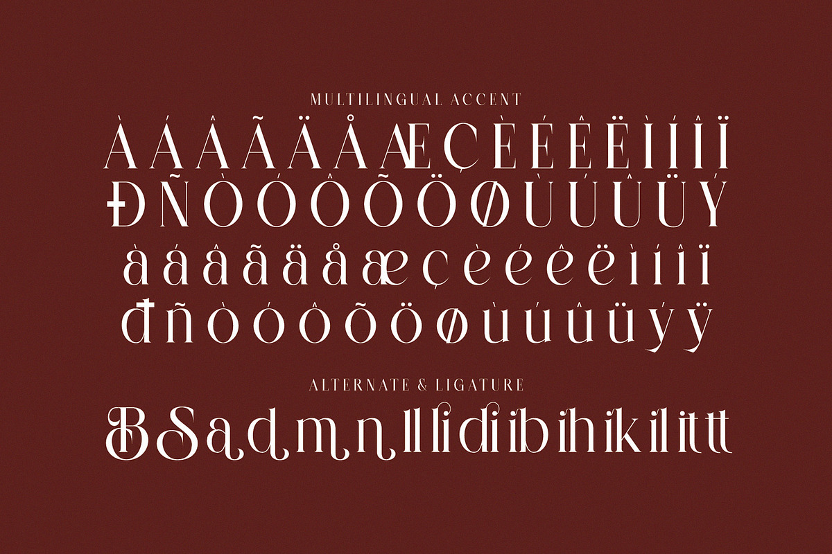 SALLINE — Modern Serif Typeface, a Serif Font by Alfinart (Photo 7 of 7)
