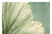Bief Co · Botanical Leaf Backgrounds, a Texture Illustration by milatovar (Thumbnail 13 of 21)
