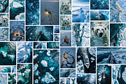 160 Arctic and Antarctic images, a Nature Photo by Handmadefont (Thumbnail 8 of 13)