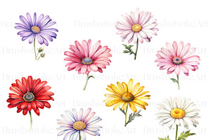 Watercolor Daisy, Wedding Flower PNG