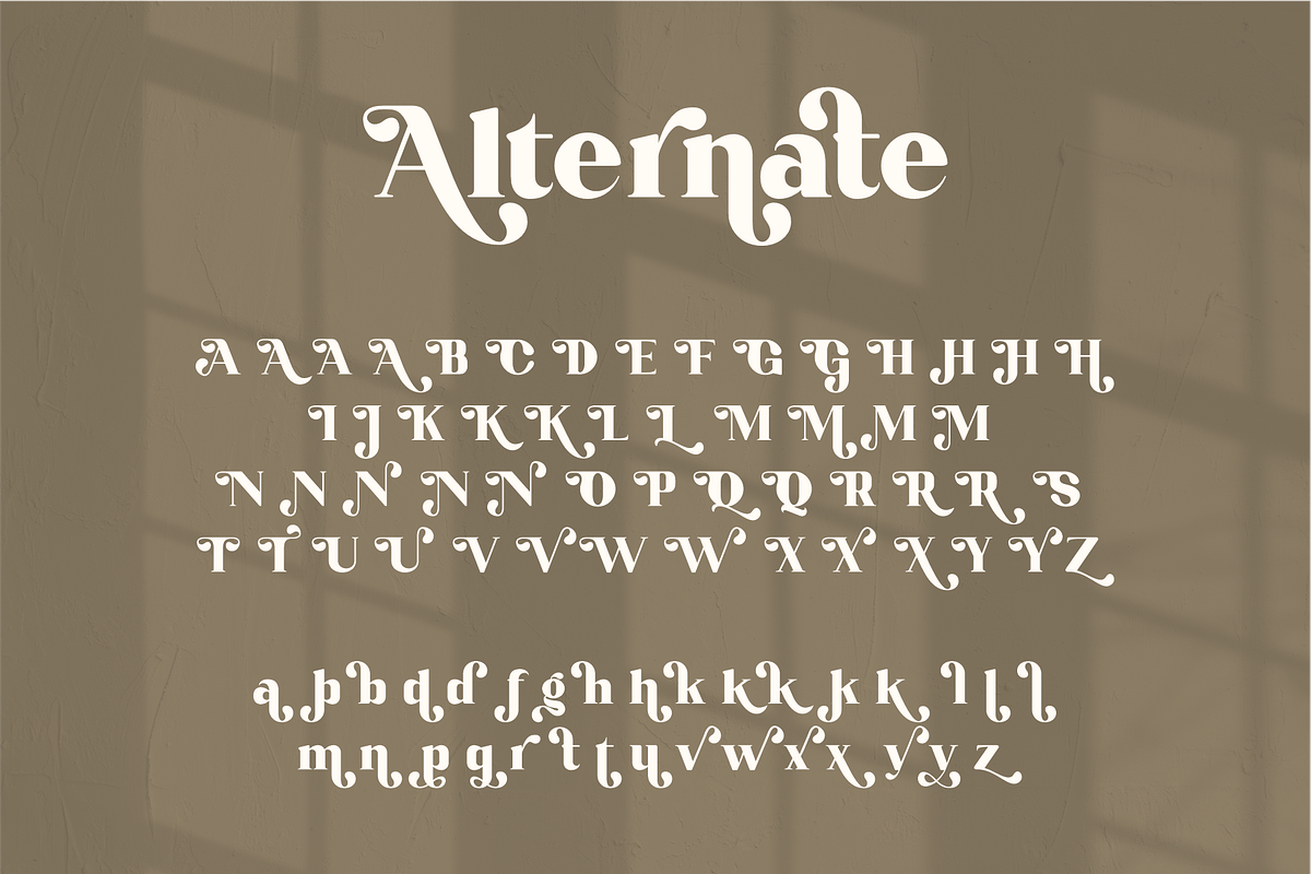 Karlout, a Serif Font by RT Studio (Photo 12 of 15)