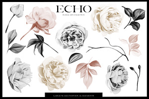 Echo Modern Botanicals Collection