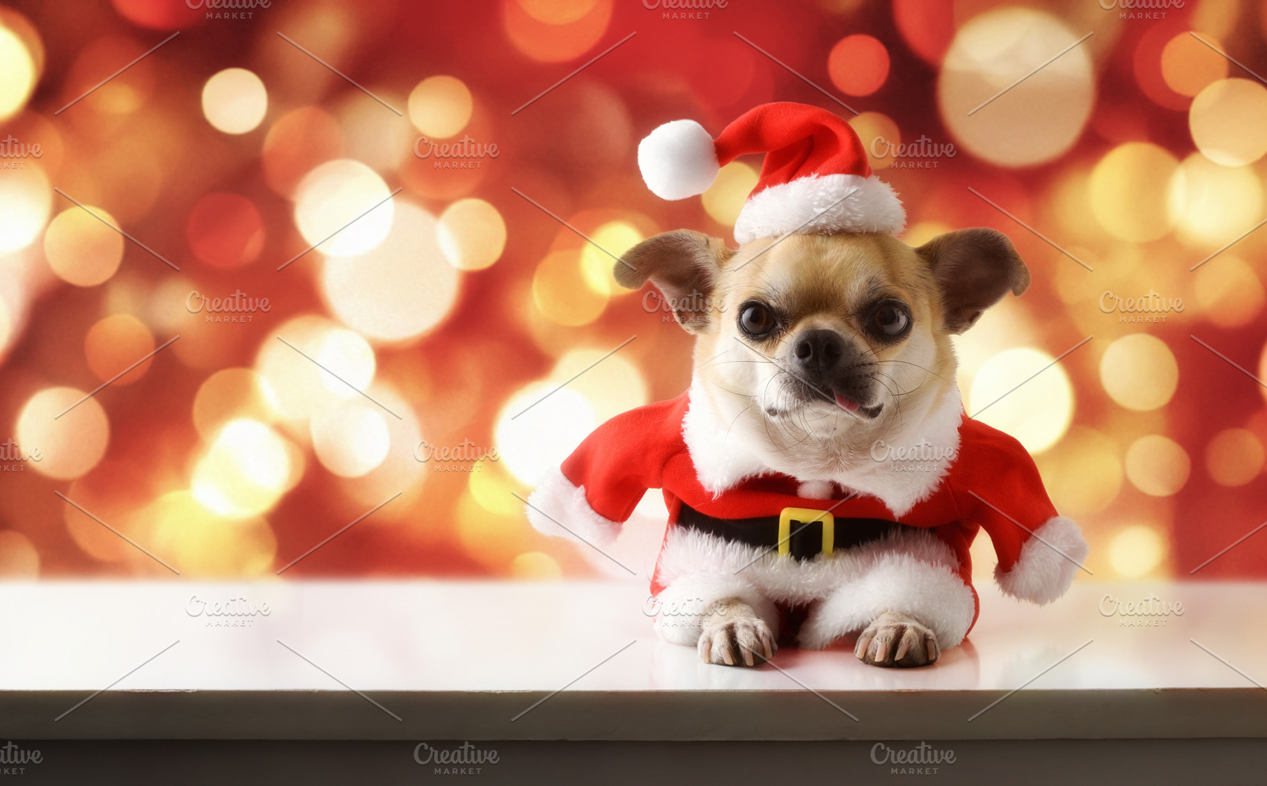 Chihuahua dog Santa Claus with golden bokeh background and spark, a Holiday Photo by Davizro's Market