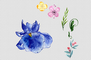 Wildflower Olorful Iris PNG Set