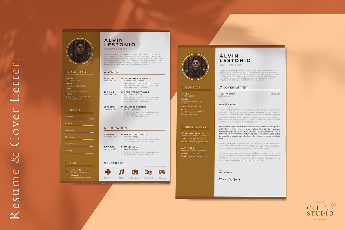 Profesional Resume / CV Template, a Resume Template by Celine Studio (Photo 2 of 4)