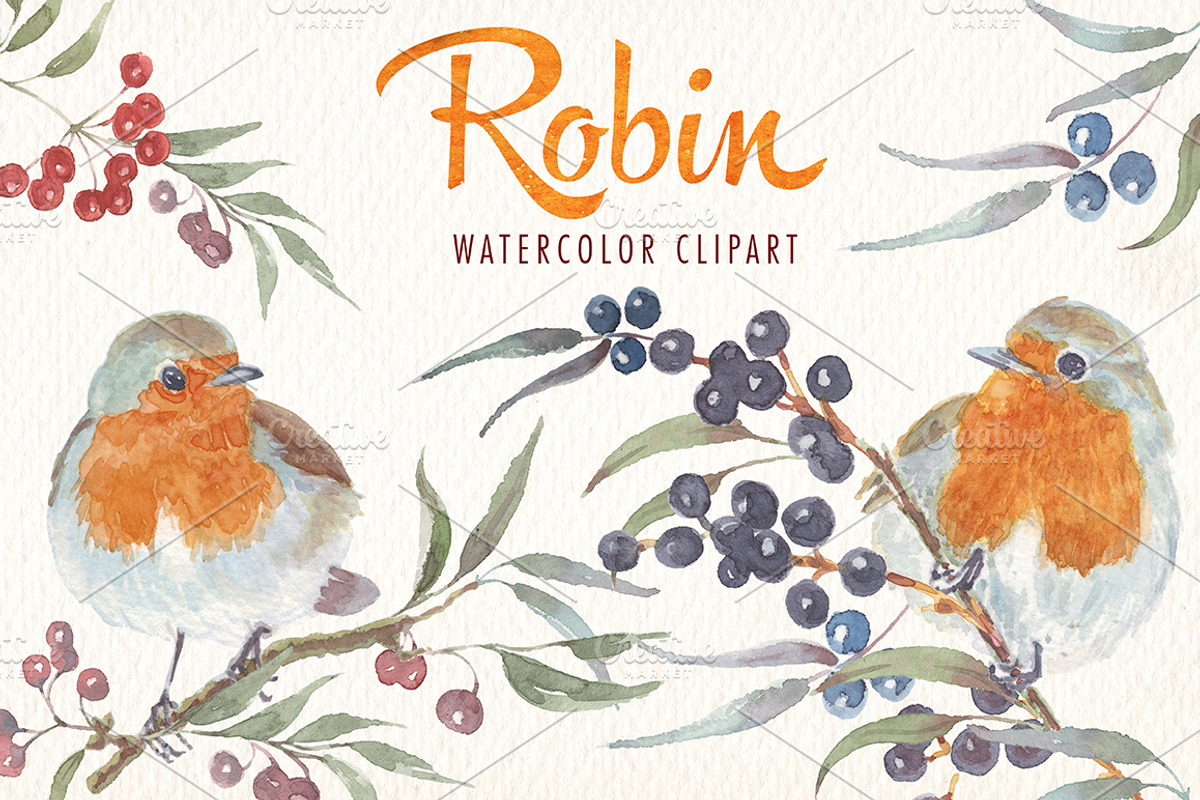 watercolor robin bird clipart, an Illustration by Art & Things (Photo 3 of 10)