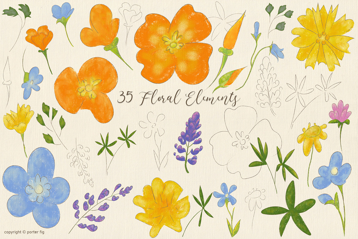 Spring Wildflowers Design Set, a Seasonal Illustration by Porter Fig (Photo 2 of 5)