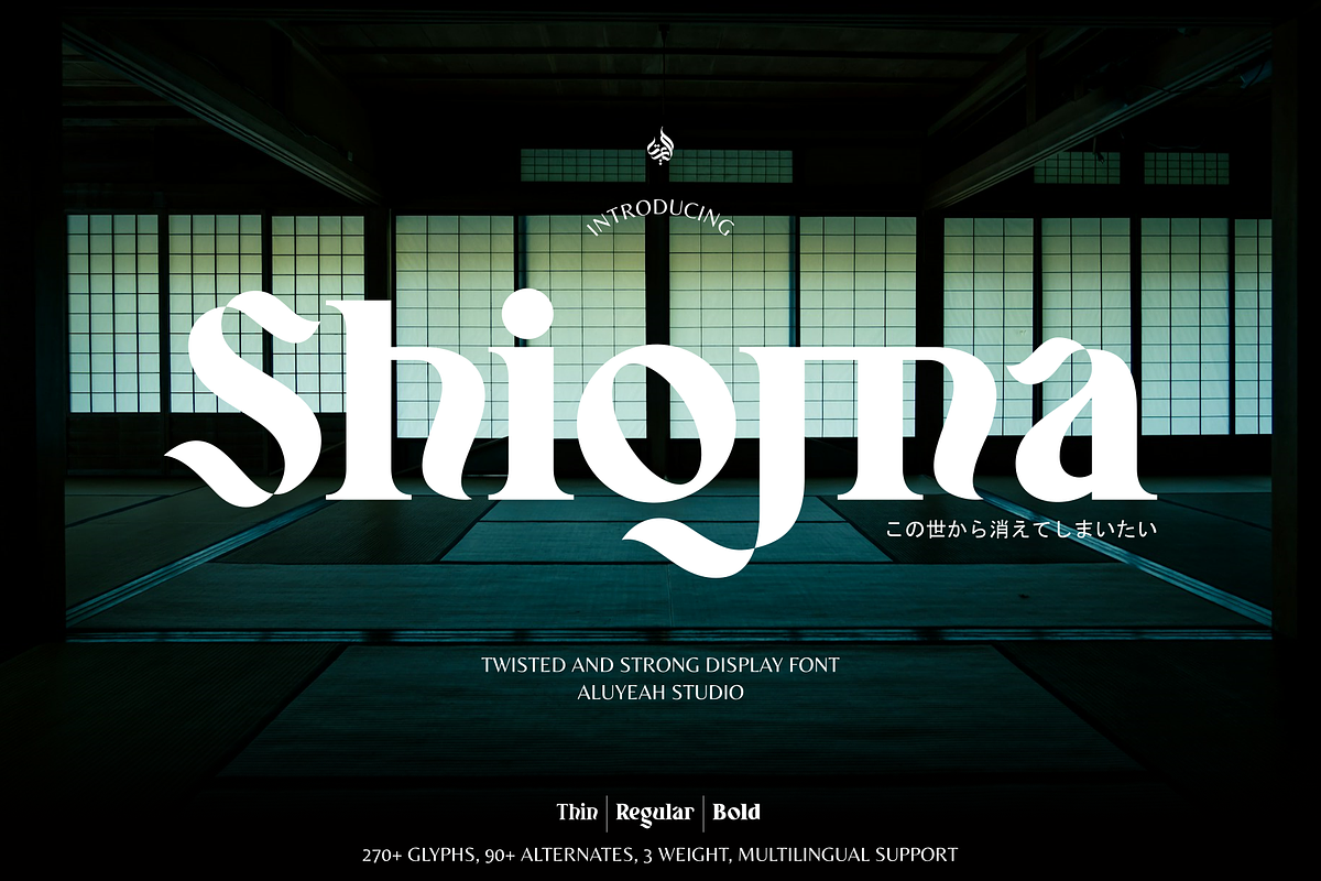 Shioma, a Serif Font by Aluyeah Studio (Photo 1 of 15)
