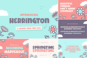 The HUGE Font Bundle (98% OFF) SALE, a Sans Serif Font by Salt & Pepper Designs (Thumbnail 85 of 185)