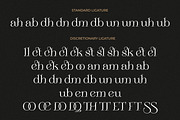 SALE Sebian - Elegant Serif Font, a Serif Font by Kulokale (Thumbnail 9 of 12)