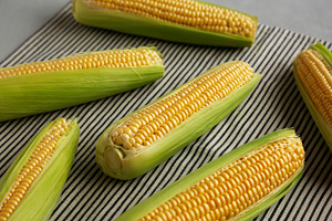 Fresh Raw Organic Corn on the Cob in the Husk, side view., a Food & Drink Photo by LiudmylaChuhunova