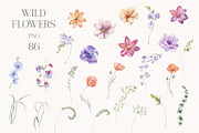 World of Butterflies & Wild Flowers., a Seasonal Illustration by Designwork (Thumbnail 20 of 20)