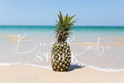 A pineapple on the beach, a Food & Drink Photo by Beach Babe Stock (Thumbnail 2 of 2)