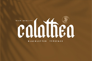 Calathea Blackletter Font