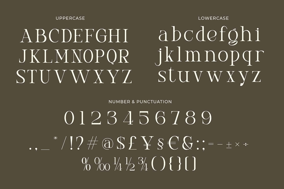 Prista an elegant serif font, a Sans Serif Font by Honestype (Photo 9 of 10)