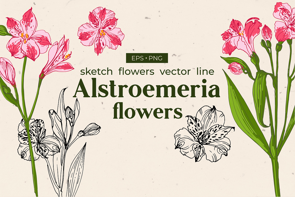 GRAND BUNDLE FLOWERS vector sets 70%, an Object Graphic by irina.vaneeva (Photo 2 of 7)