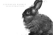 Lionhead Rabbit Illustration, a Decorative Illustration by Digital Art Downloads (Thumbnail 1 of 3)