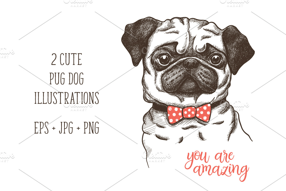 Pug dog print illustration, an Animal Illustration by Hala (Photo 3 of 3)