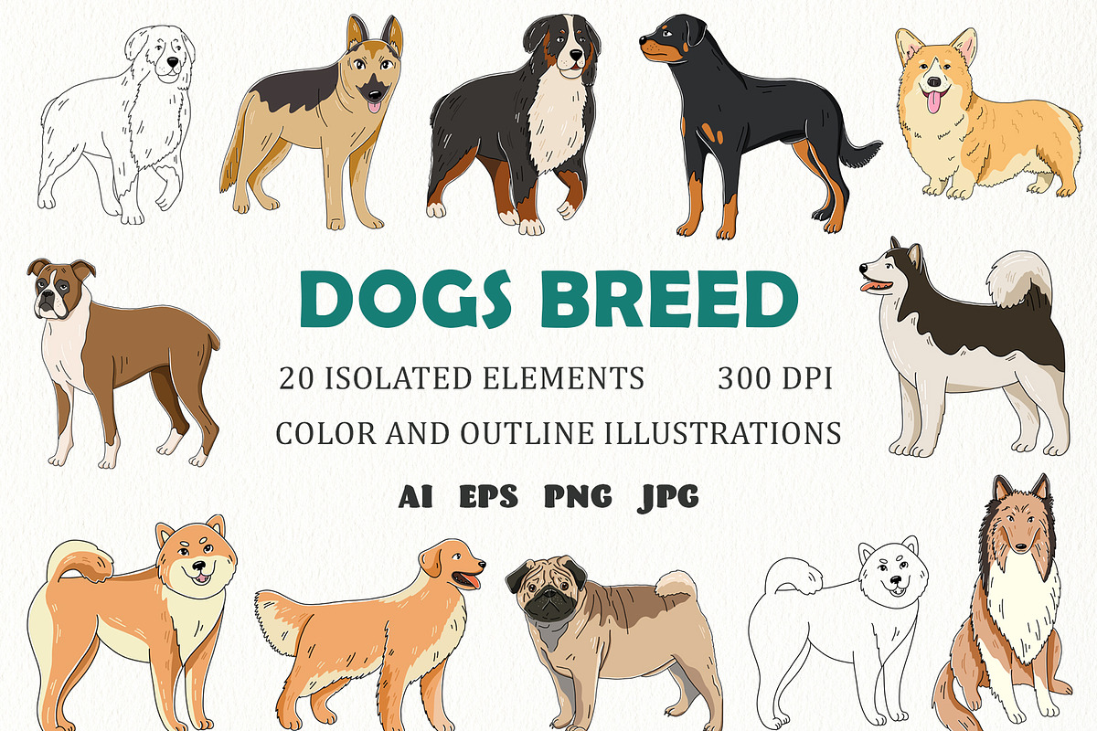 Dogs breed clipart illustrations., an Animal Illustration by svetodesign (Photo 1 of 8)