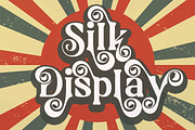 Silk Display, a Font by LuhopCreative (Thumbnail 14 of 17)