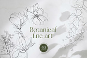 Botanical Line Art Collection, an Object Illustration by Colden Blue (Thumbnail 1 of 10)