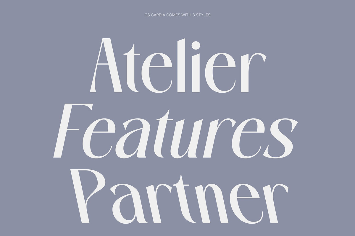 CS Bona – Modern Sans Serif, a Sans Serif Font by Craft Supply Co. (Photo 3 of 8)