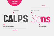 Calps Sans Font, a Sans Serif Font by Typesketchbook Foundry (Thumbnail 4 of 7)