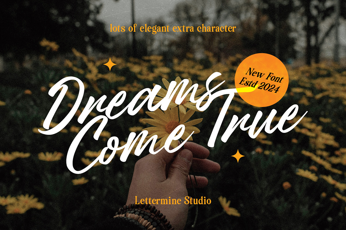 Ridelans - Modern Script, a Script Font by Lettermine (Photo 3 of 10)