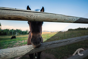 Lightroom Presets - Travel/Landscape