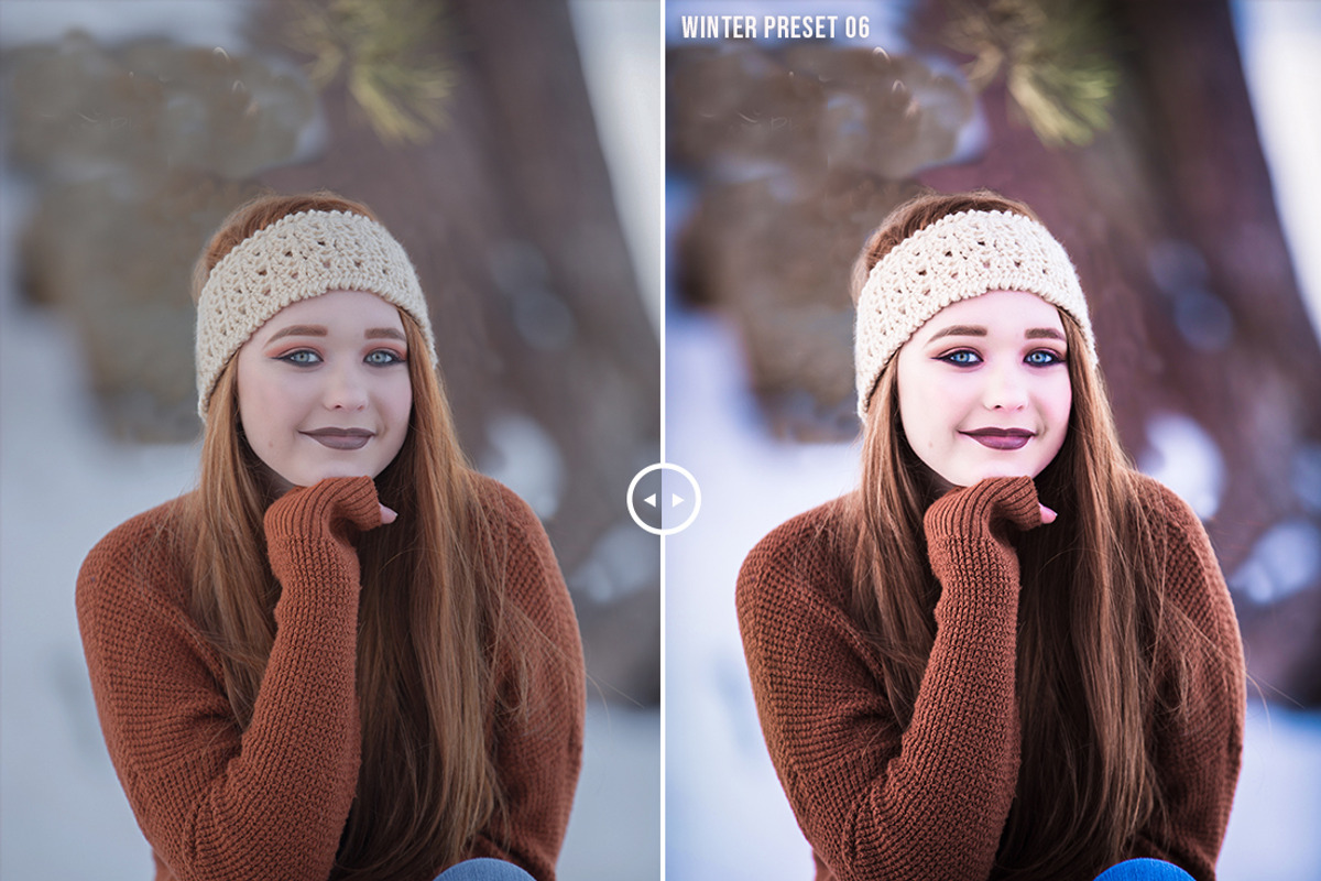 Pro Winter lightroom presets preview 7