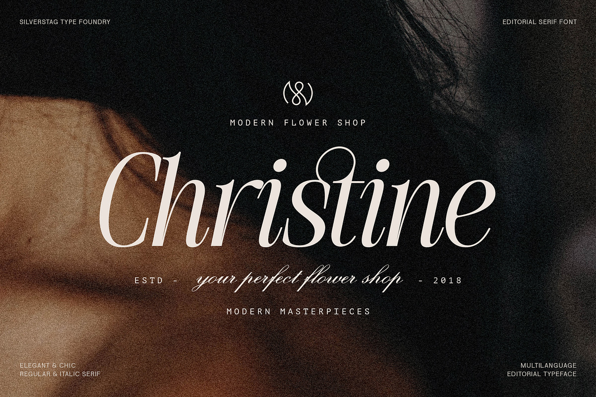 The Silver Editorial Serif Font, a Serif Font by SilverStag Type Foundry (Photo 7 of 25)