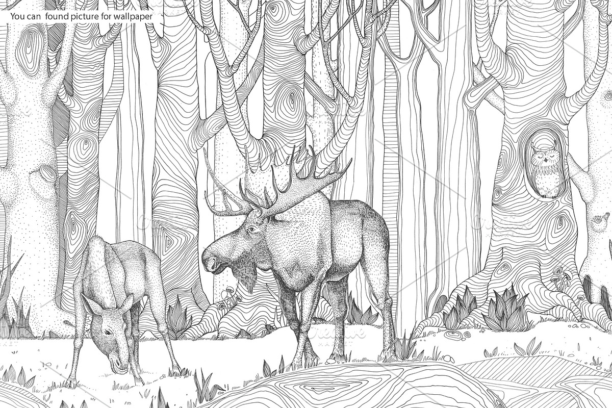 My Forest, an Animal Illustration by YuliaBiser (Photo 2 of 5)