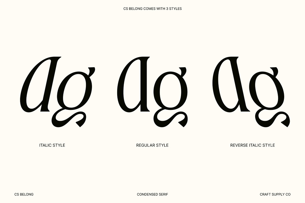 CS Belong – Contemporary Font, a Serif Font by Craft Supply Co. (Photo 4 of 8)