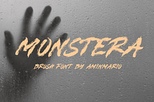 MONSTERA